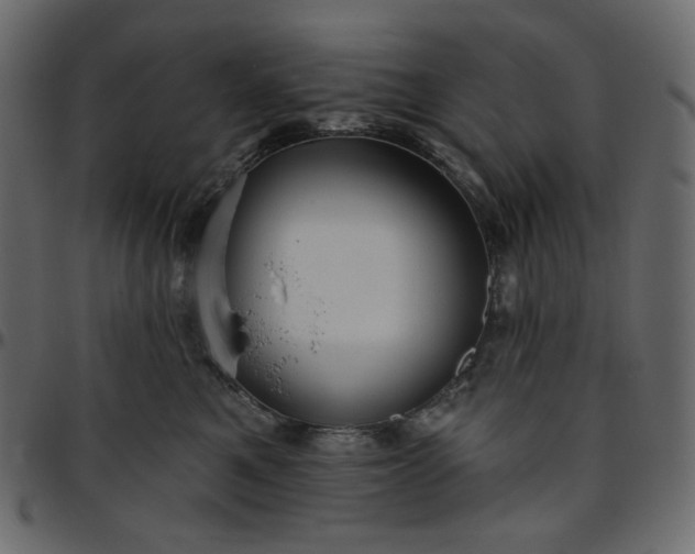X0000095680521200801221228