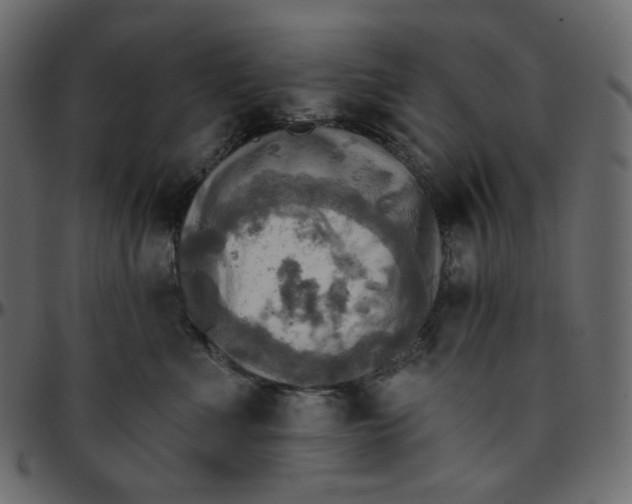 X0000095680523200801221228