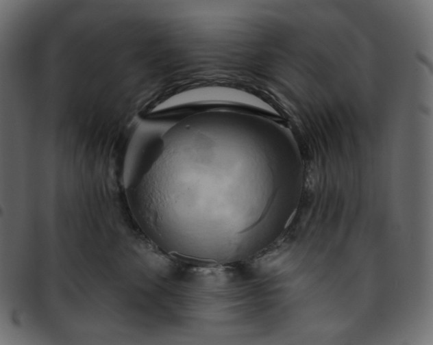 X0000095680524200801221228