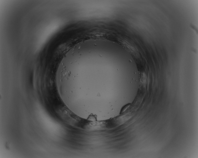 X0000095680526200801221228