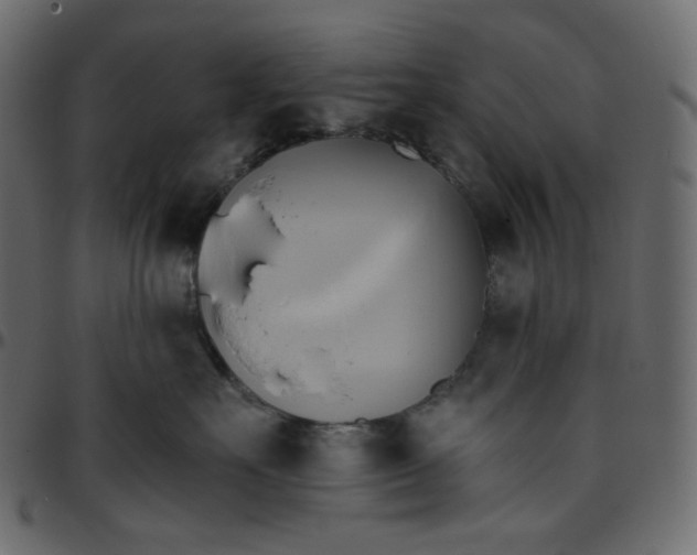 X0000095680527200801221228