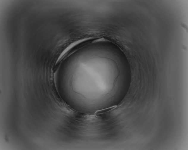 X0000095680528200801221228