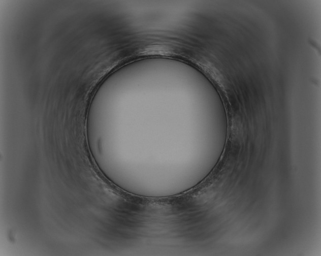 X0000095680529200801221228