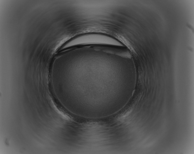 X0000095680530200801221228