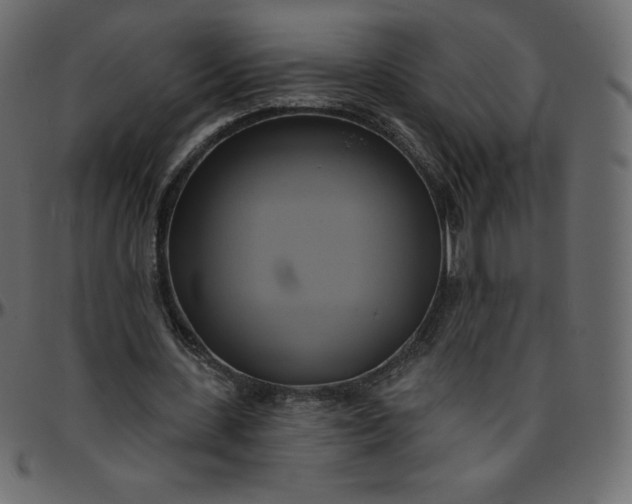 X0000095680531200801221228