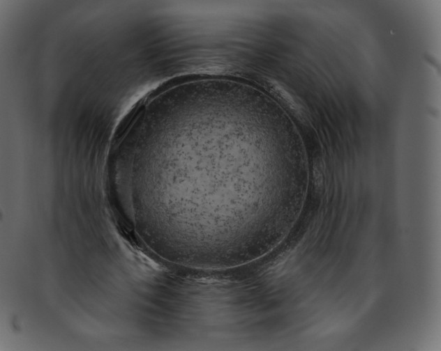 X0000095680532200801221228