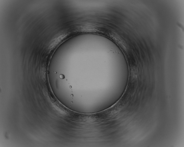 X0000095680533200801221228