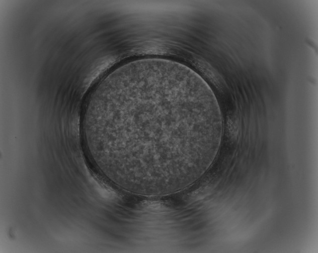 X0000095680534200801221228
