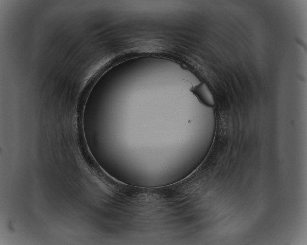 X0000095680535200801221228