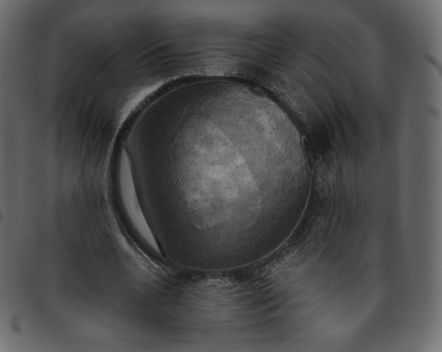 X0000095680536200801221228