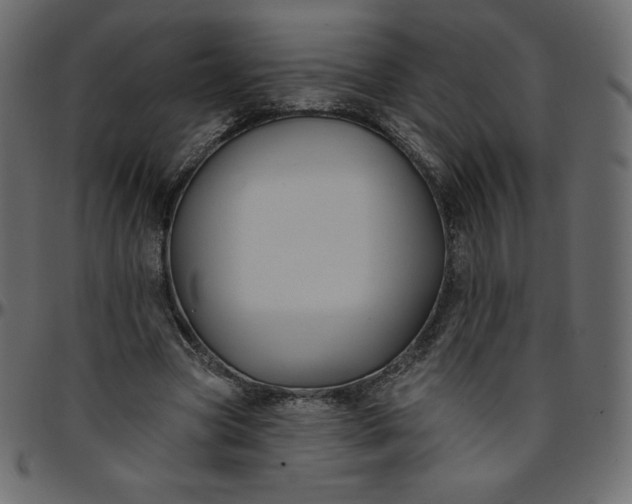 X0000095680537200801221228