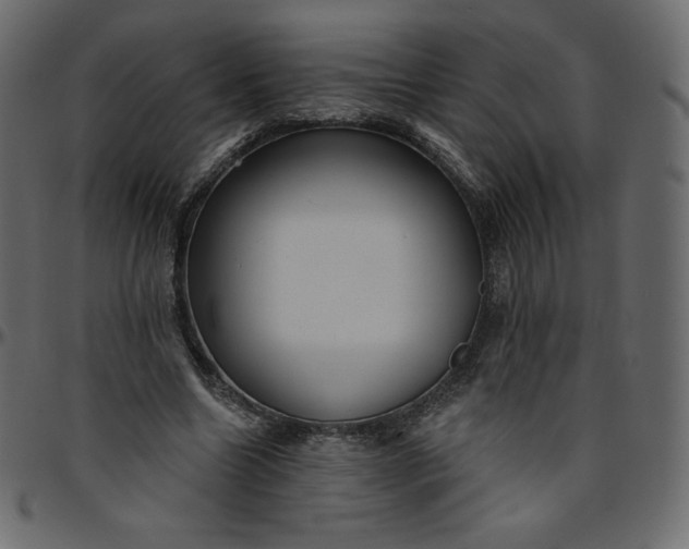 X0000095680538200801221228