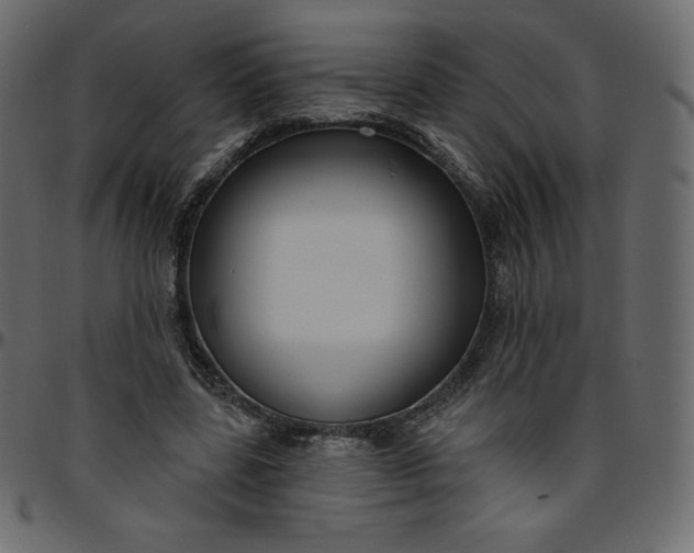 X0000095680539200801221228