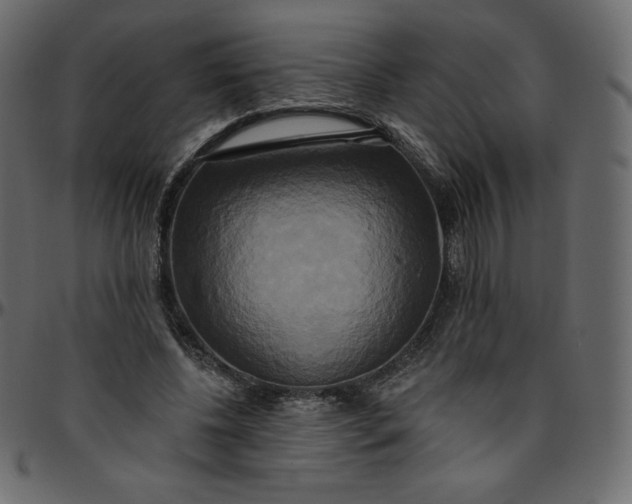 X0000095680540200801221228