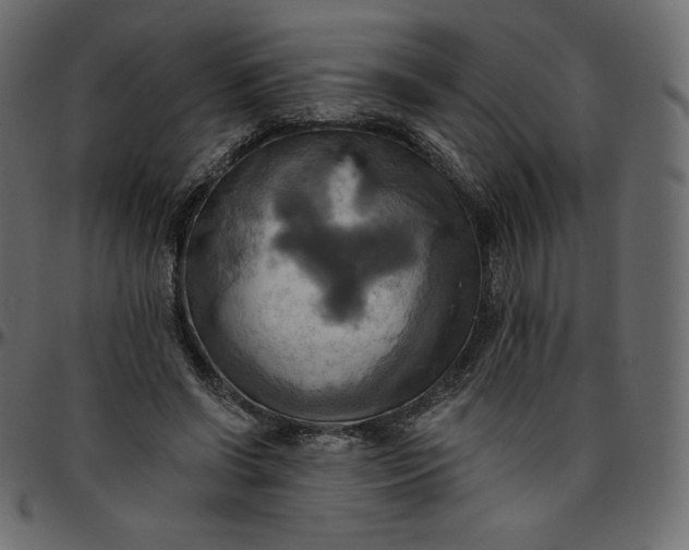 X0000095680542200801221228