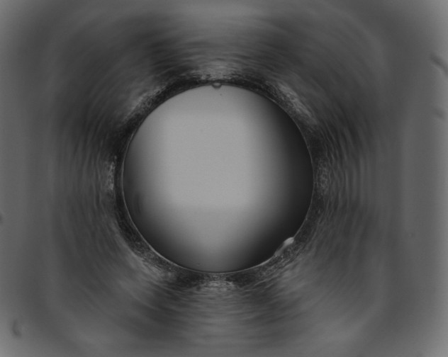 X0000095680543200801221228