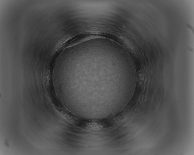 X0000095680544200801221228
