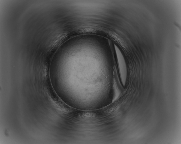 X0000095680546200801221228