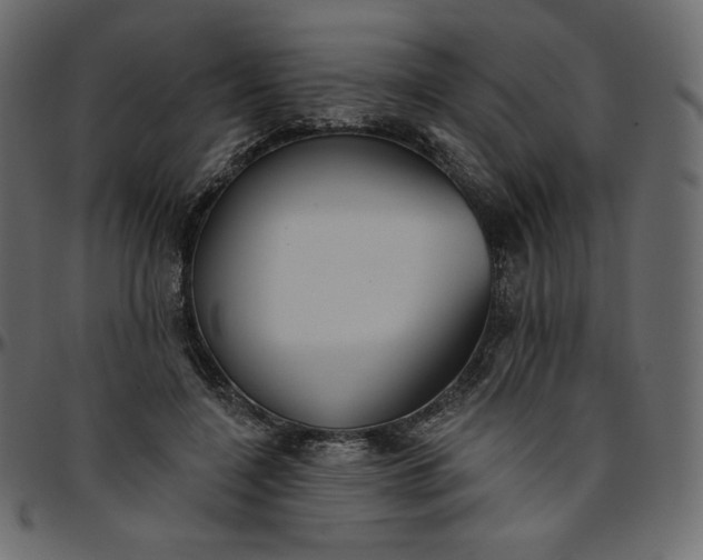X0000095680548200801221228