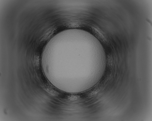 X0000095680549200801221228