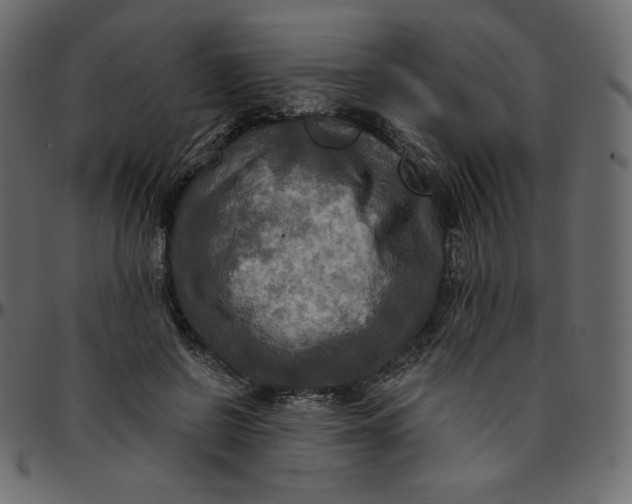 X0000095680550200801221228