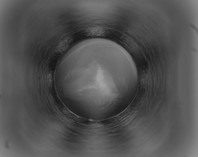 X0000095680551200801221228