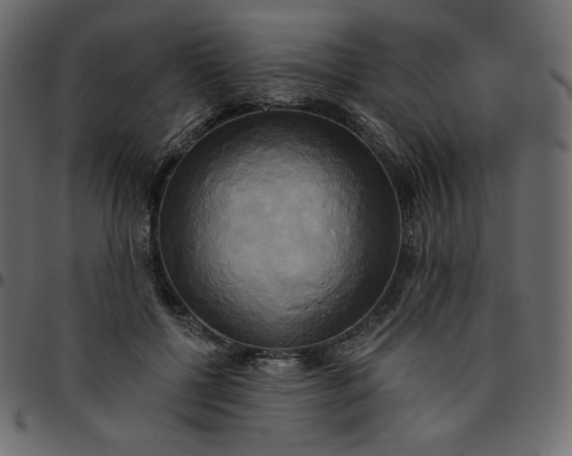 X0000095680552200801221228
