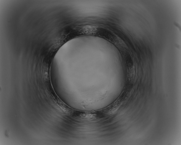 X0000095680553200801221228