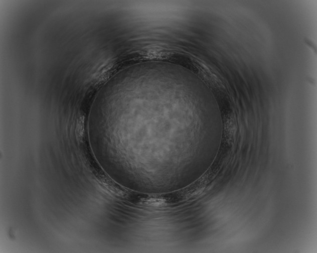 X0000095680554200801221228