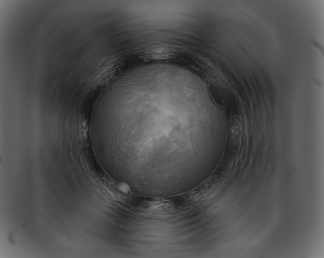 X0000095680555200801221228
