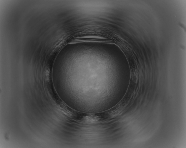 X0000095680556200801221228