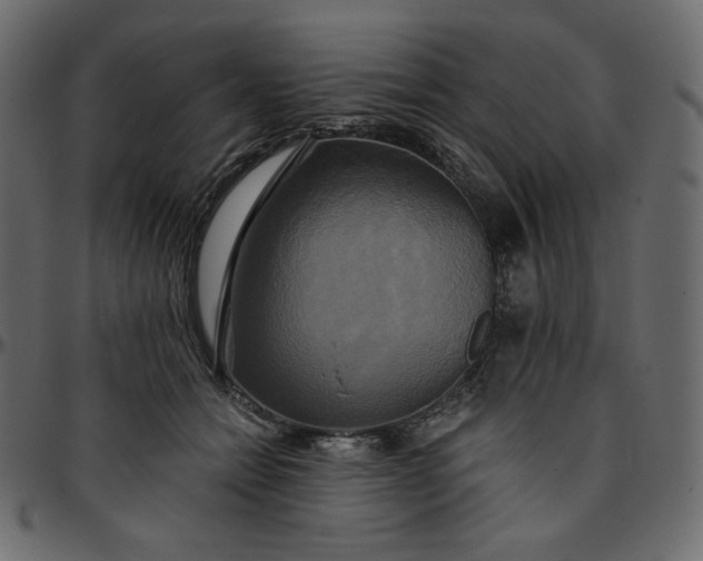 X0000095680558200801221228
