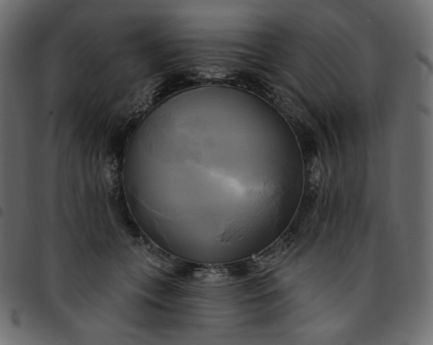 X0000095680559200801221228