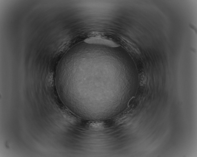 X0000095680560200801221228