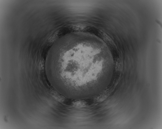X0000095680561200801221228