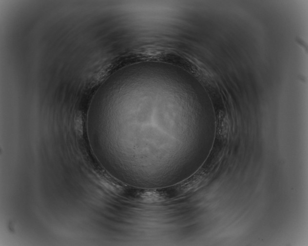 X0000095680562200801221228