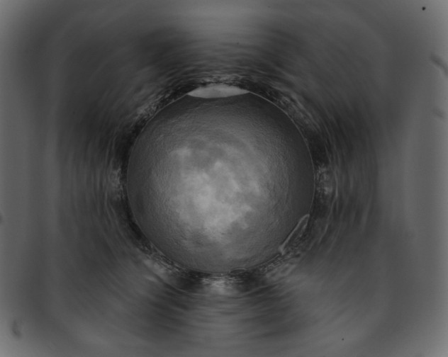 X0000095680564200801221228