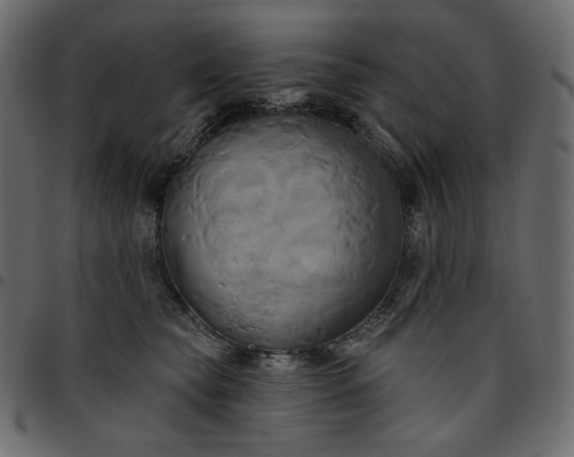 X0000095680565200801221228