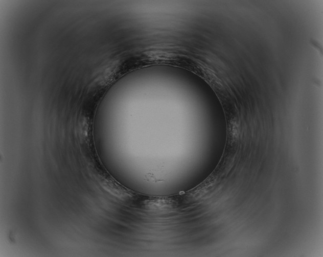 X0000095680567200801221228