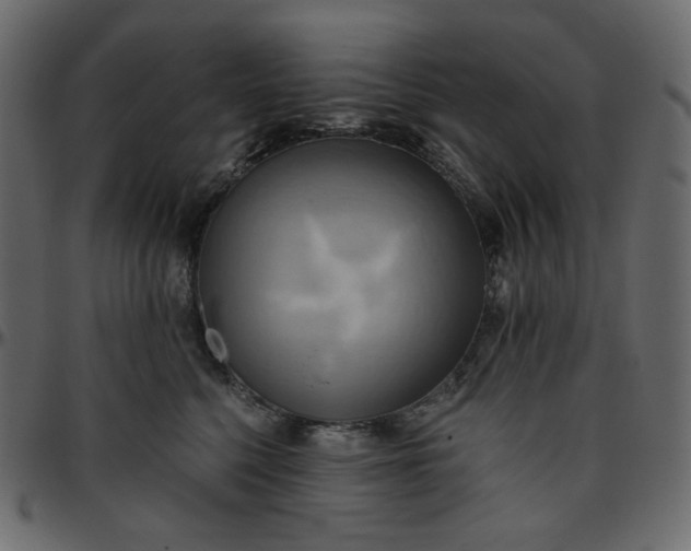 X0000095680568200801221228