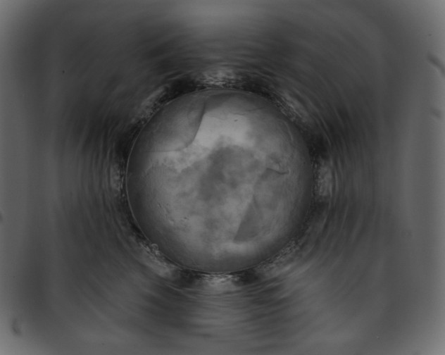X0000095680569200801221228