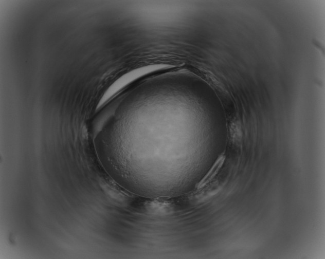 X0000095680570200801221228