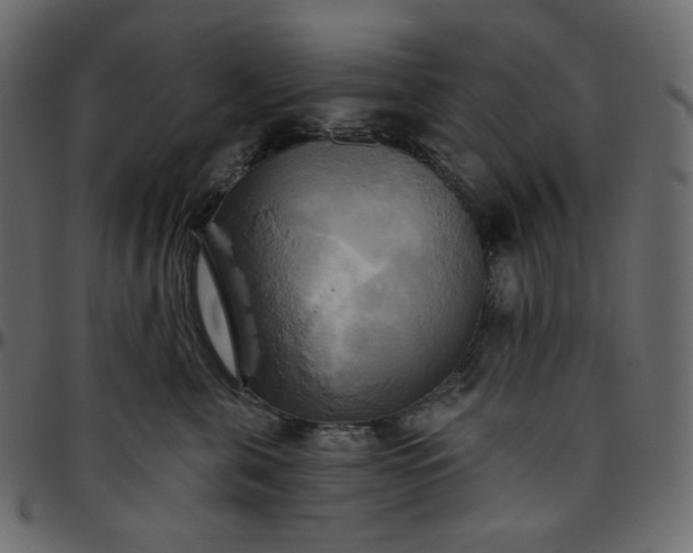 X0000095680571200801221228