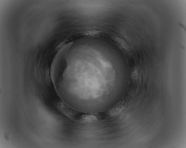 X0000095680572200801221228