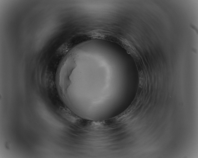 X0000095680573200801221228