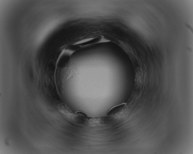 X0000095680574200801221228