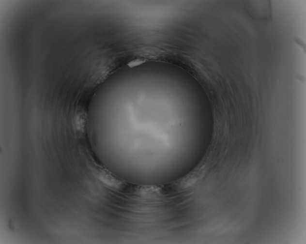 X0000095680576200801221228