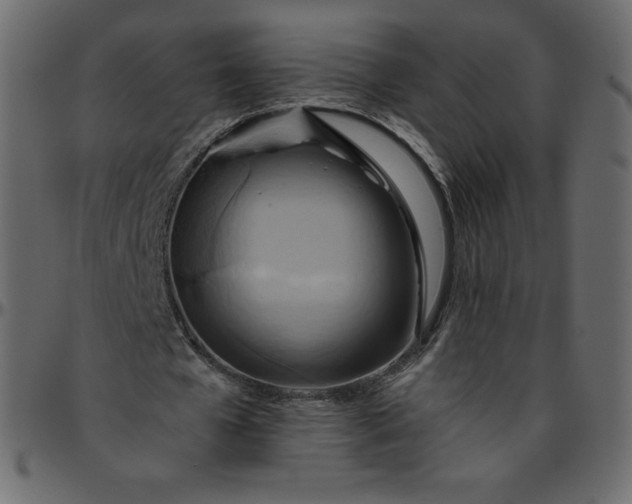 X0000095680577200801221228