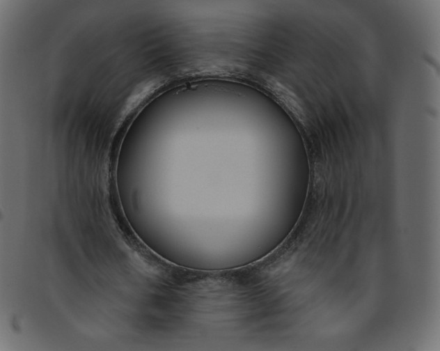 X0000095680578200801221228