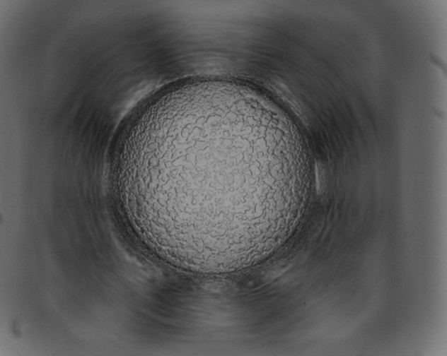X0000095680579200801221228